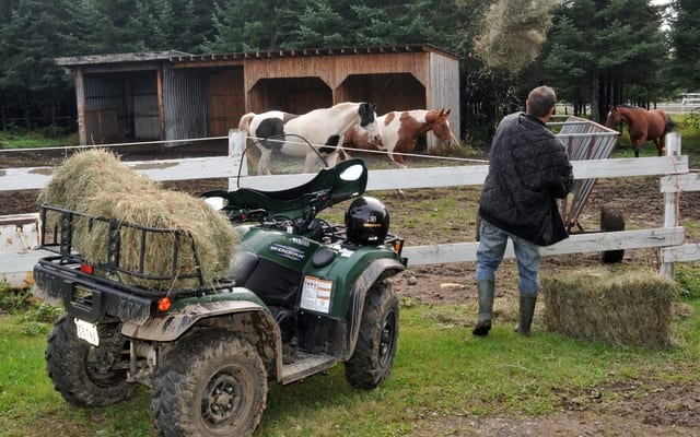 Yamaha Kodiak 450 DAE 2011 Essai