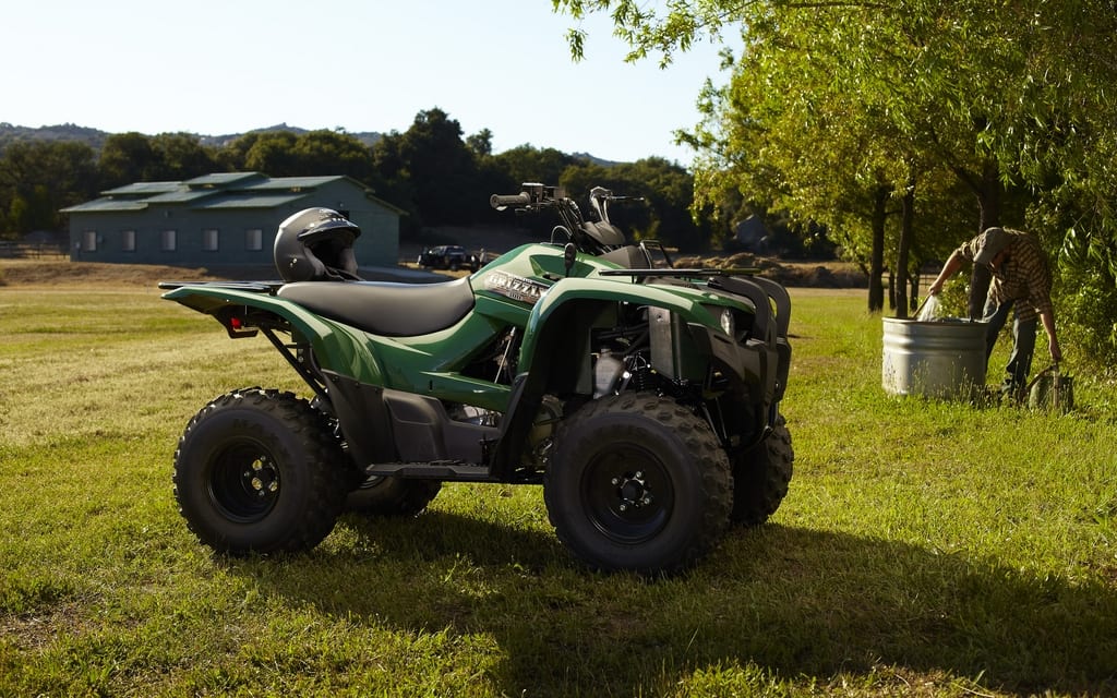 Yamaha Grizzly 300 2012