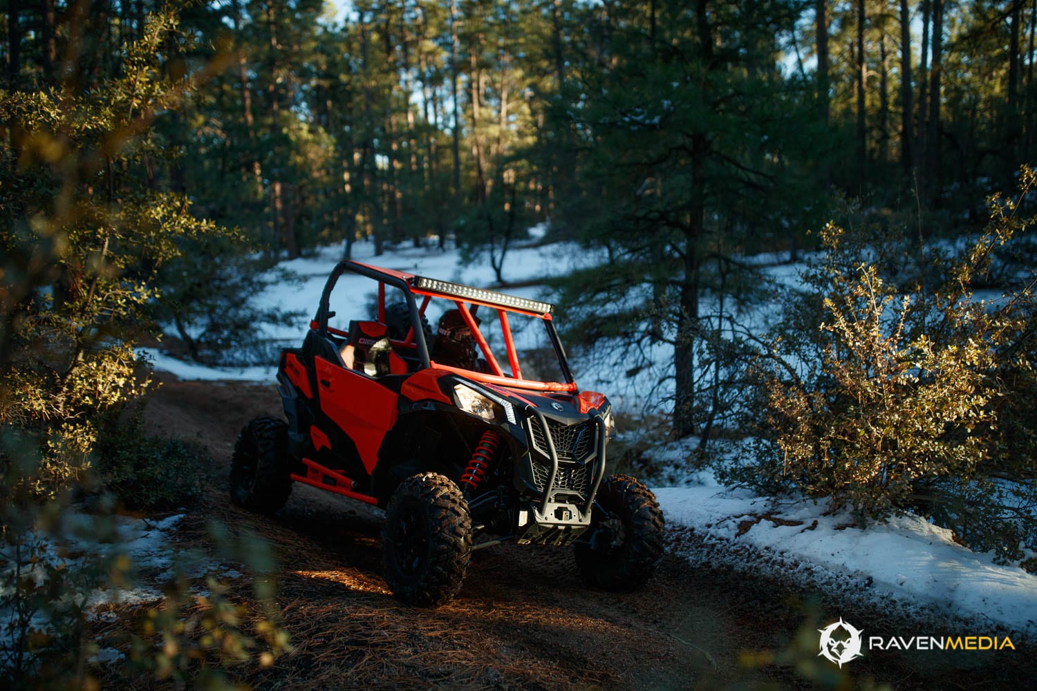 Can-Am Maverick Sport 2019.