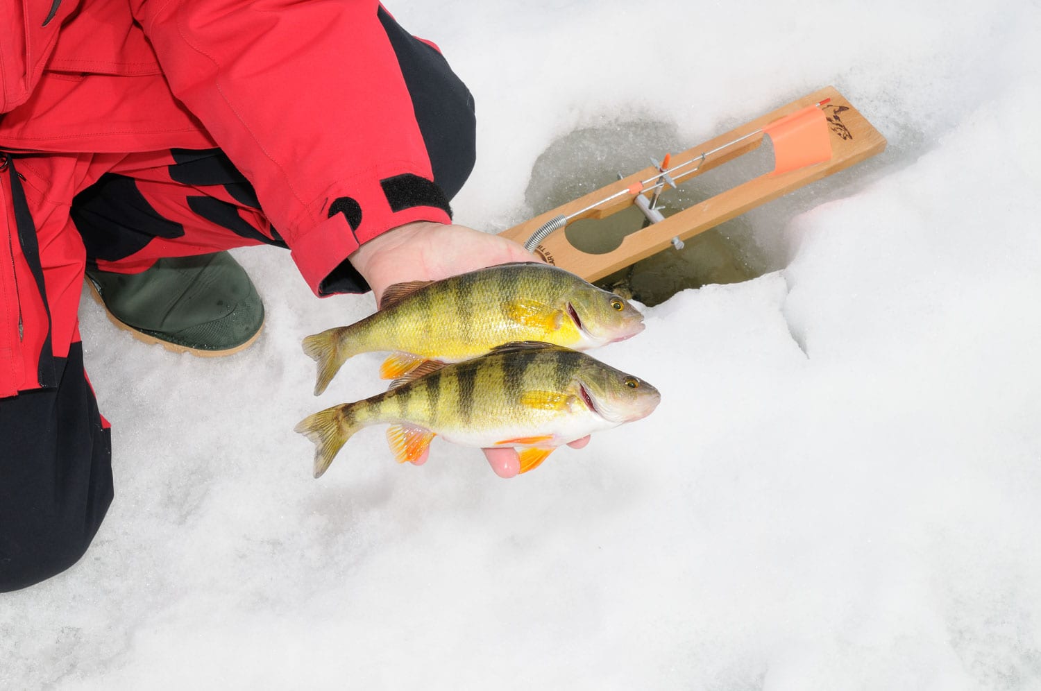 Pêche sous la glace