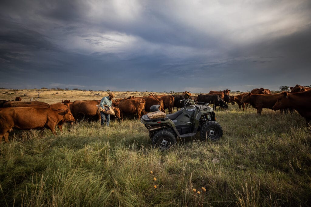 Polaris Sportsman 450 H.O. et 570 2021