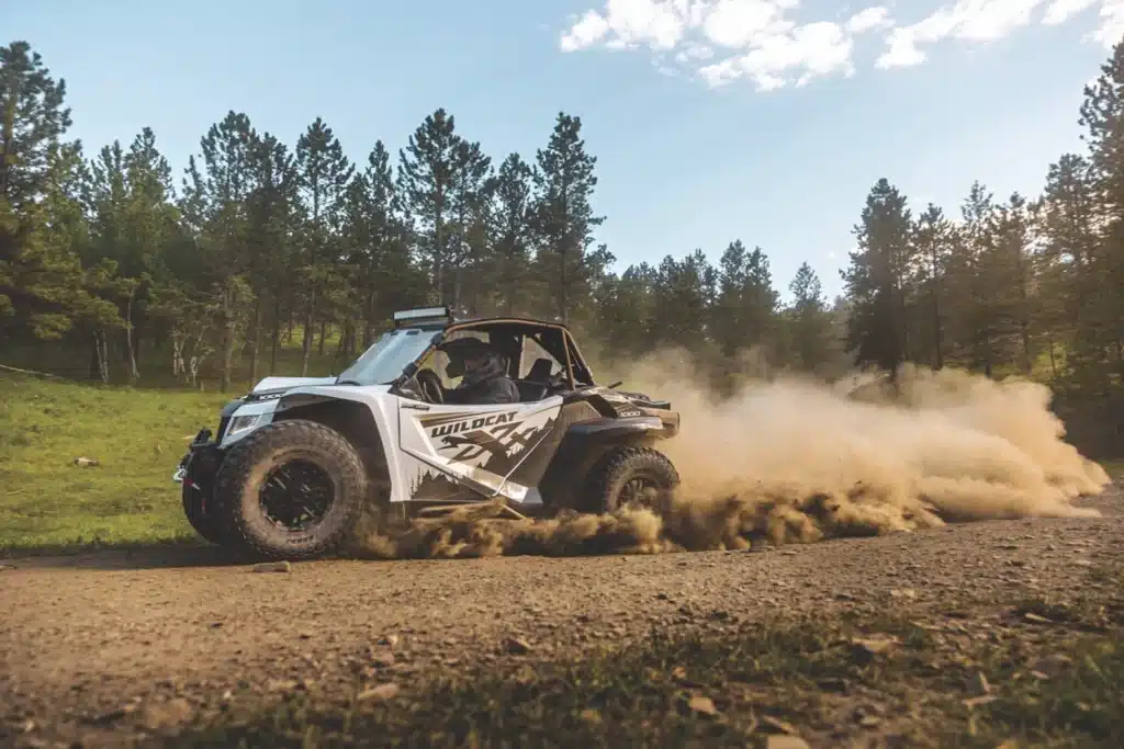 Photo 1 – grande taille